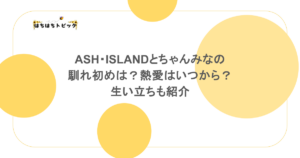 ASH・ISLANDとちゃんみなの馴れ初めは？熱愛はいつから？生い立ちも紹介